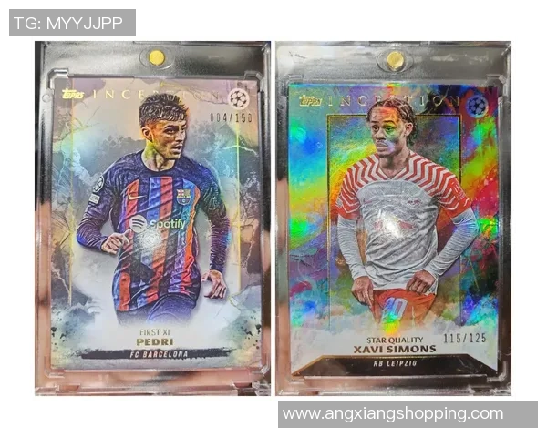 门将荣耀巅峰时刻珍藏版足球球星卡全景鉴赏与收藏指南